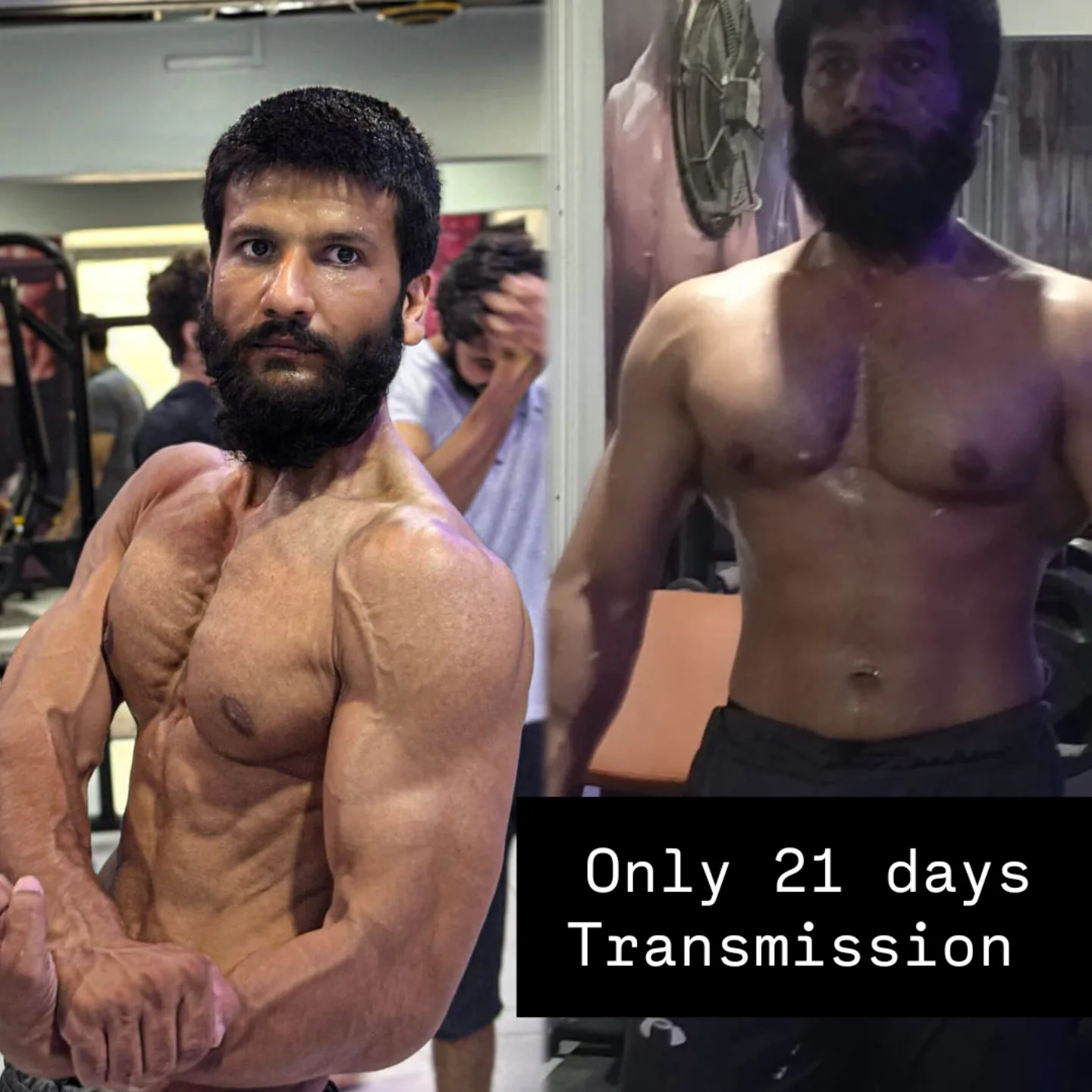 Gym Transformation